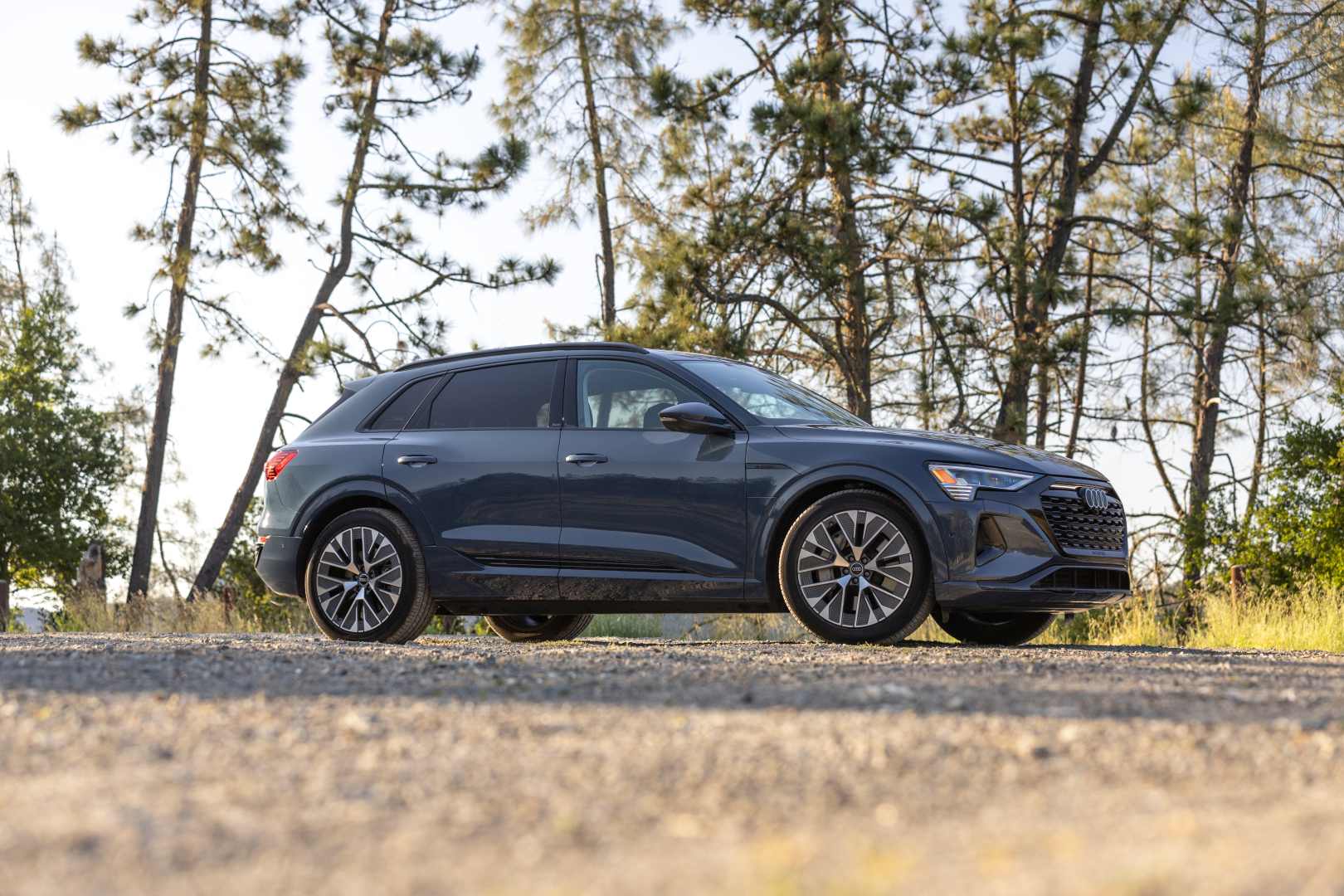 Audi Q8 E-Tron photo 86