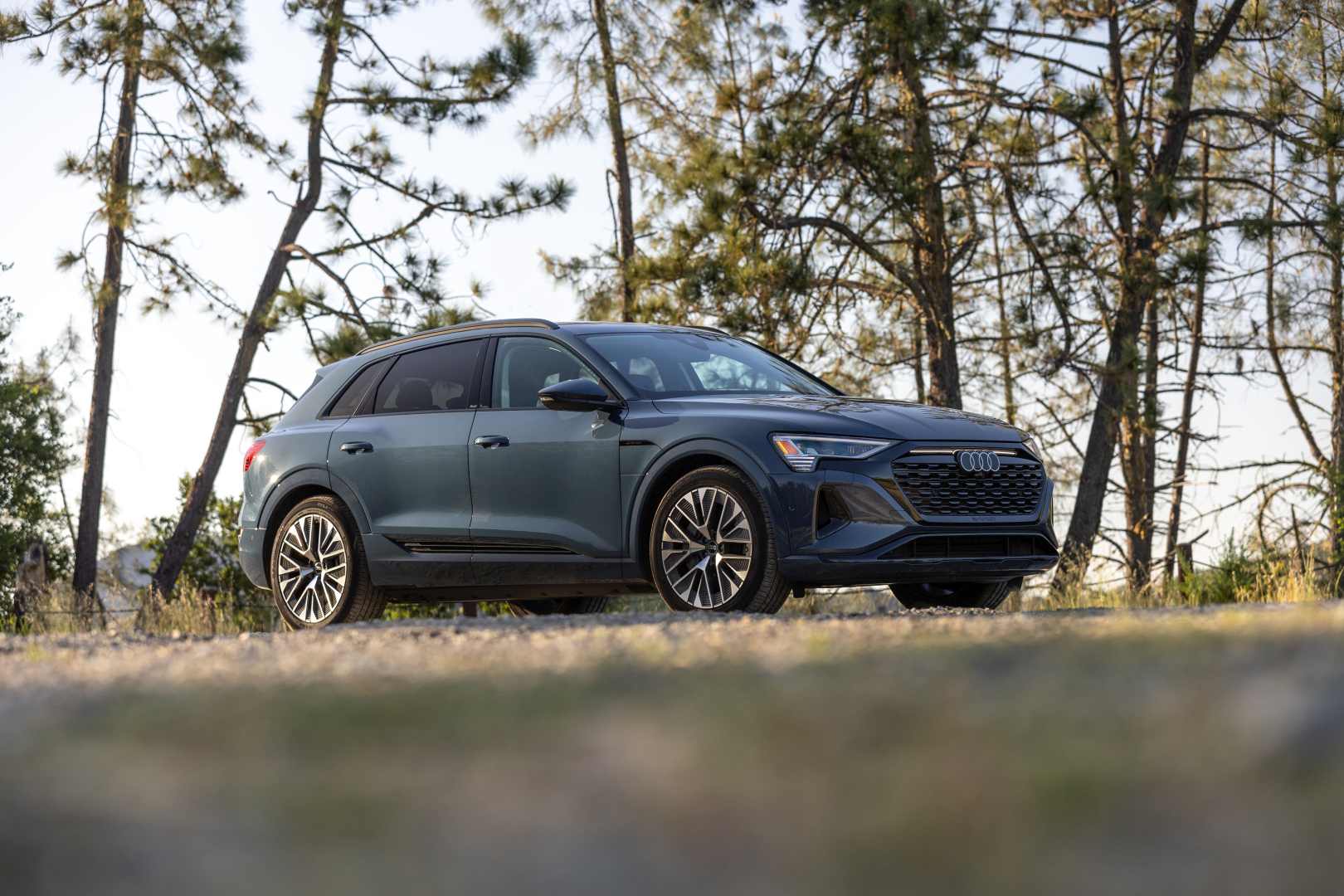 Audi Q8 E-Tron photo 87