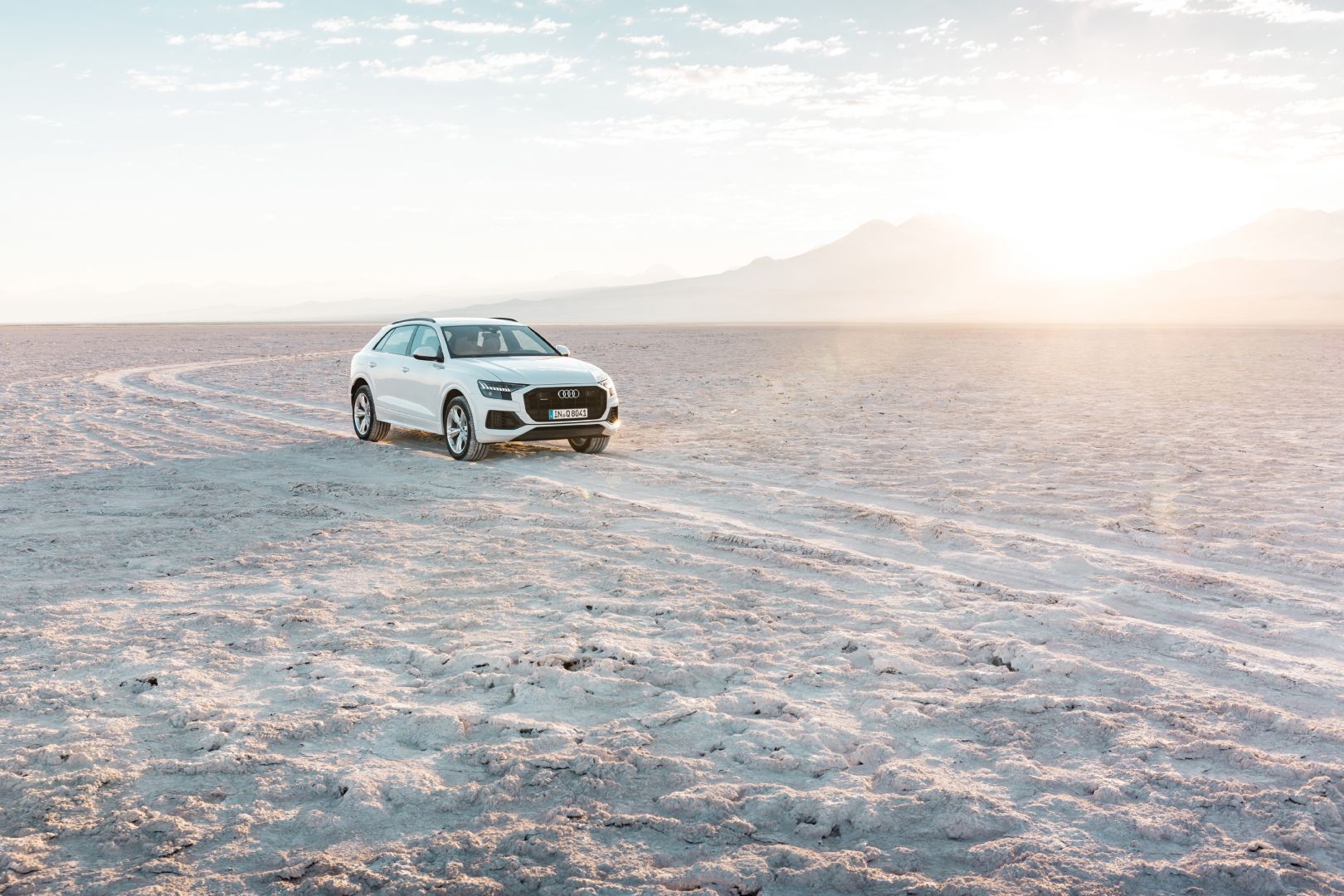Audi Q8 photo 95
