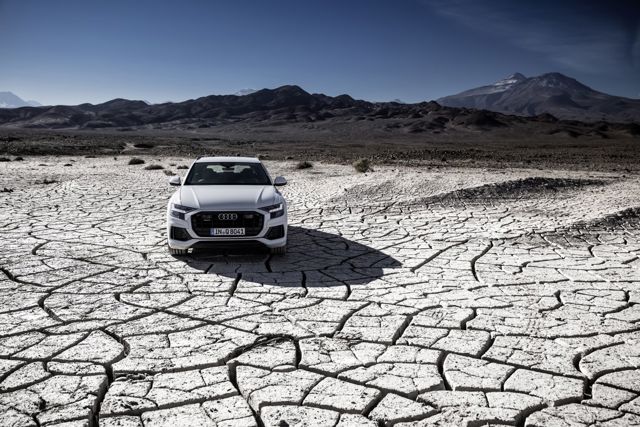 Audi Q8 photo 96