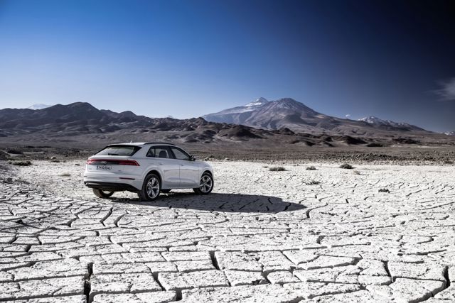 Audi Q8 photo 99