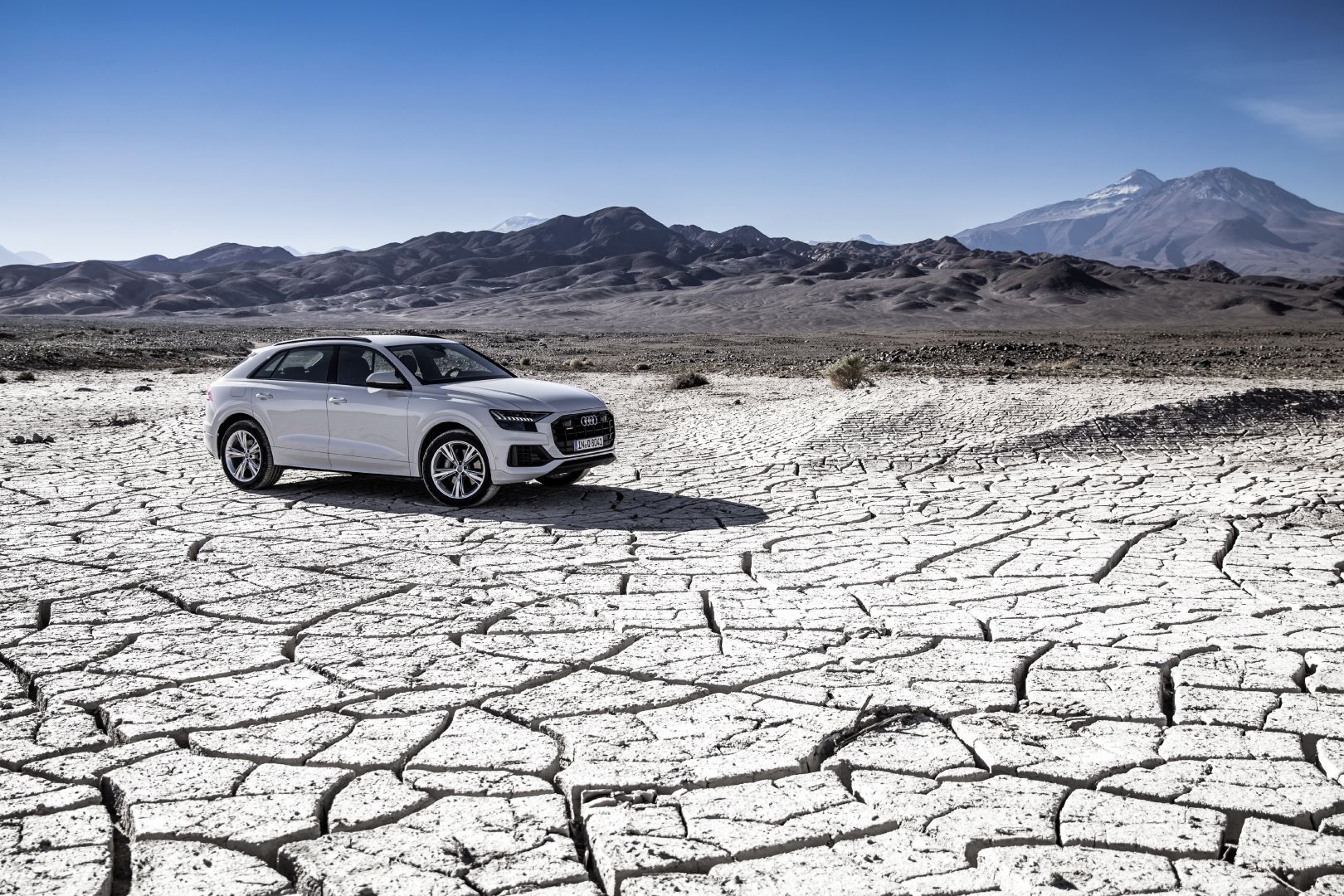 Audi Q8 photo 104