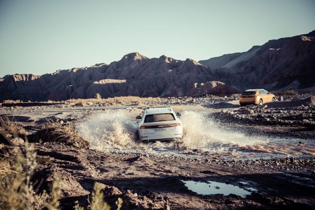 Audi Q8 photo 107