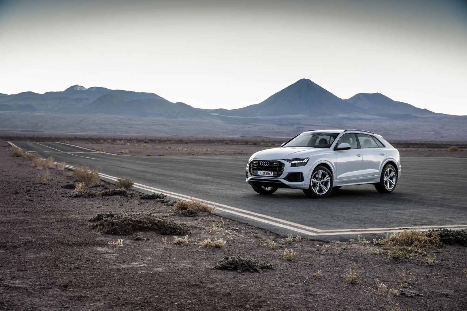 Audi Q8 photo 110