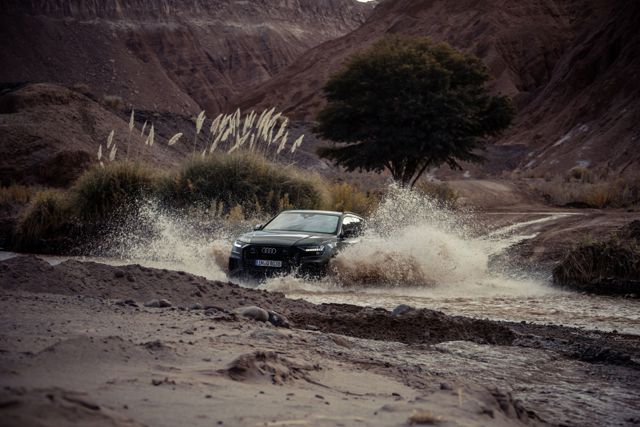 Audi Q8 photo 118