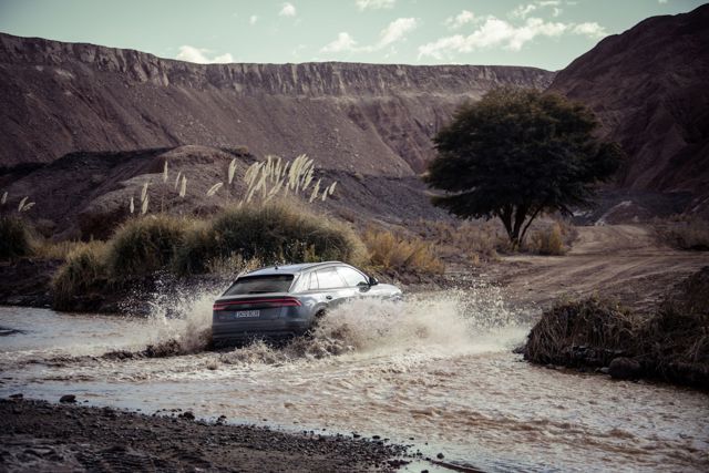 Audi Q8 photo 121