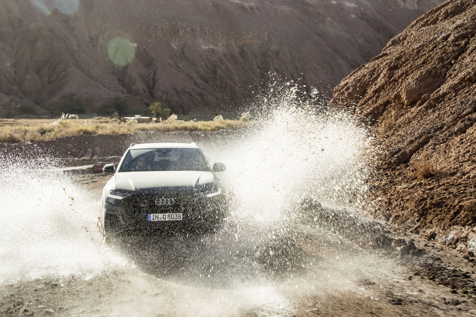 Audi Q8 photo 124