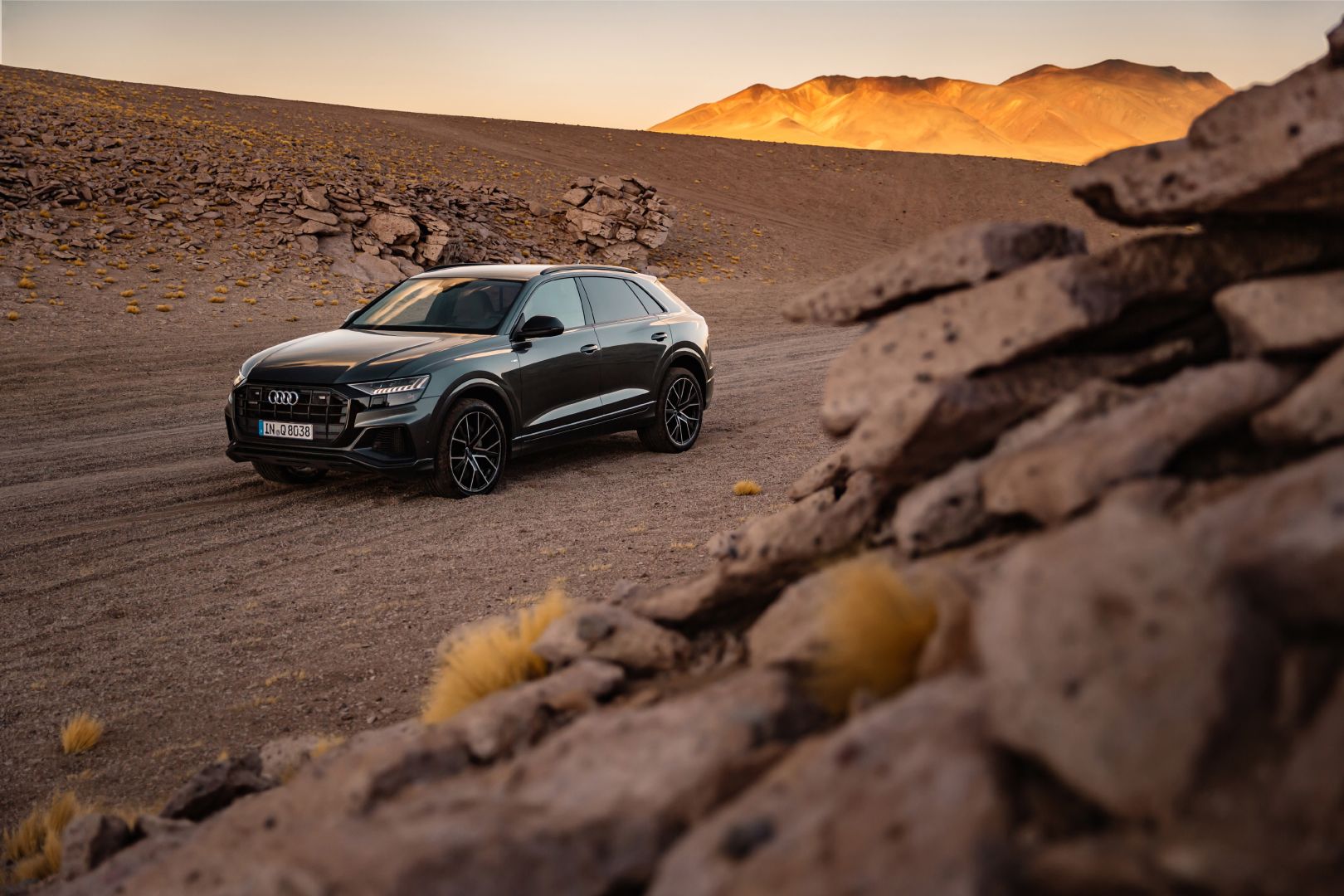 Audi Q8 photo 125