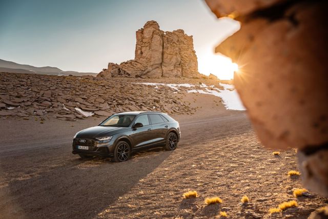 Audi Q8 photo 126