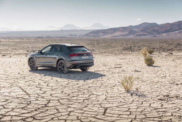 Audi Q8 photo 127