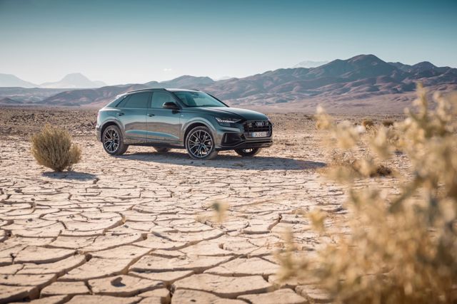 Audi Q8 photo 128