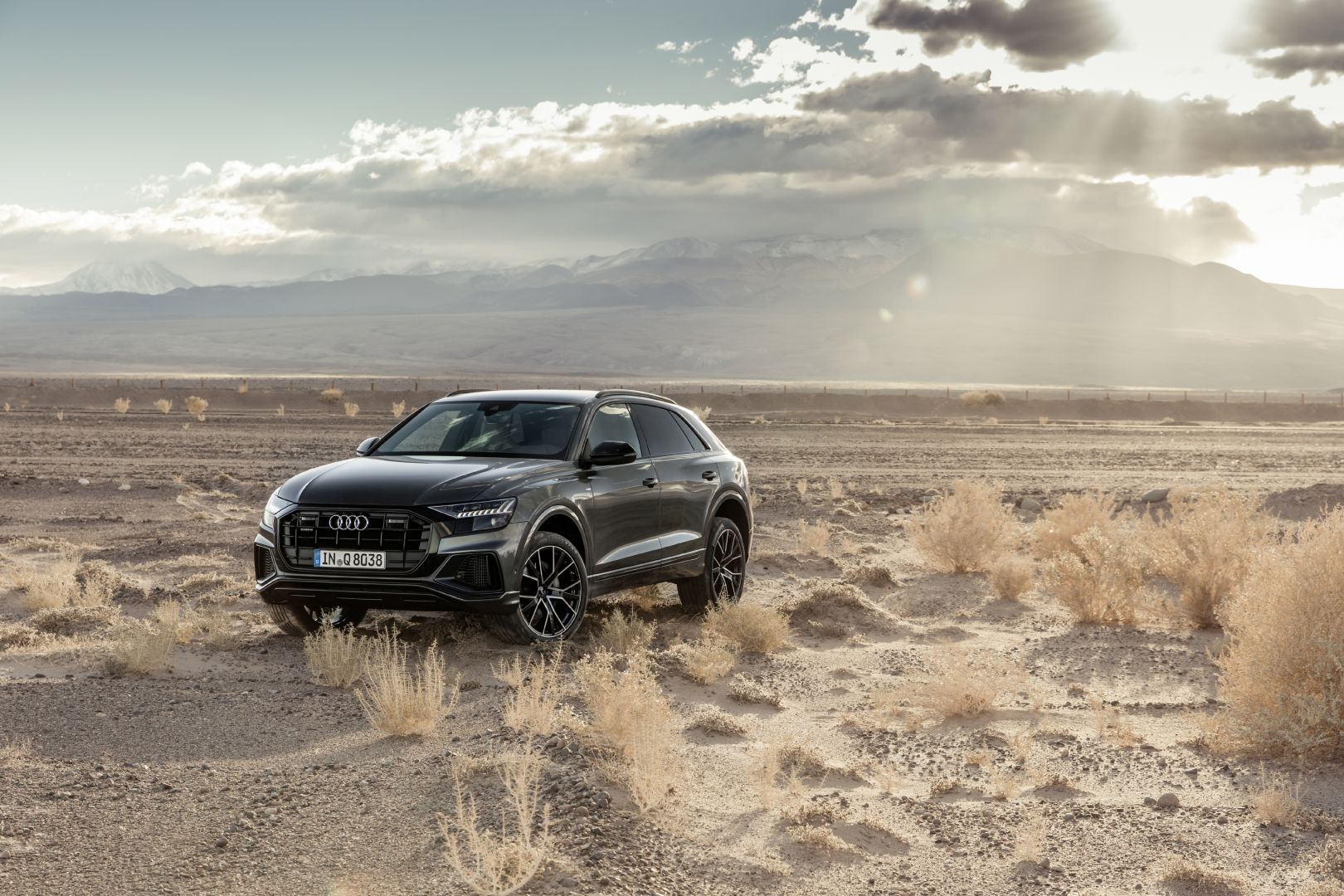 Audi Q8 photo 136
