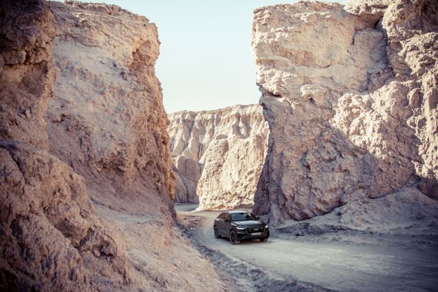 Audi Q8 photo 137