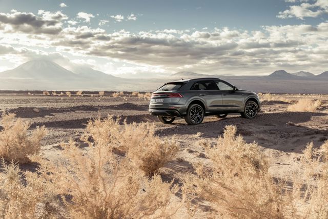 Audi Q8 photo 139