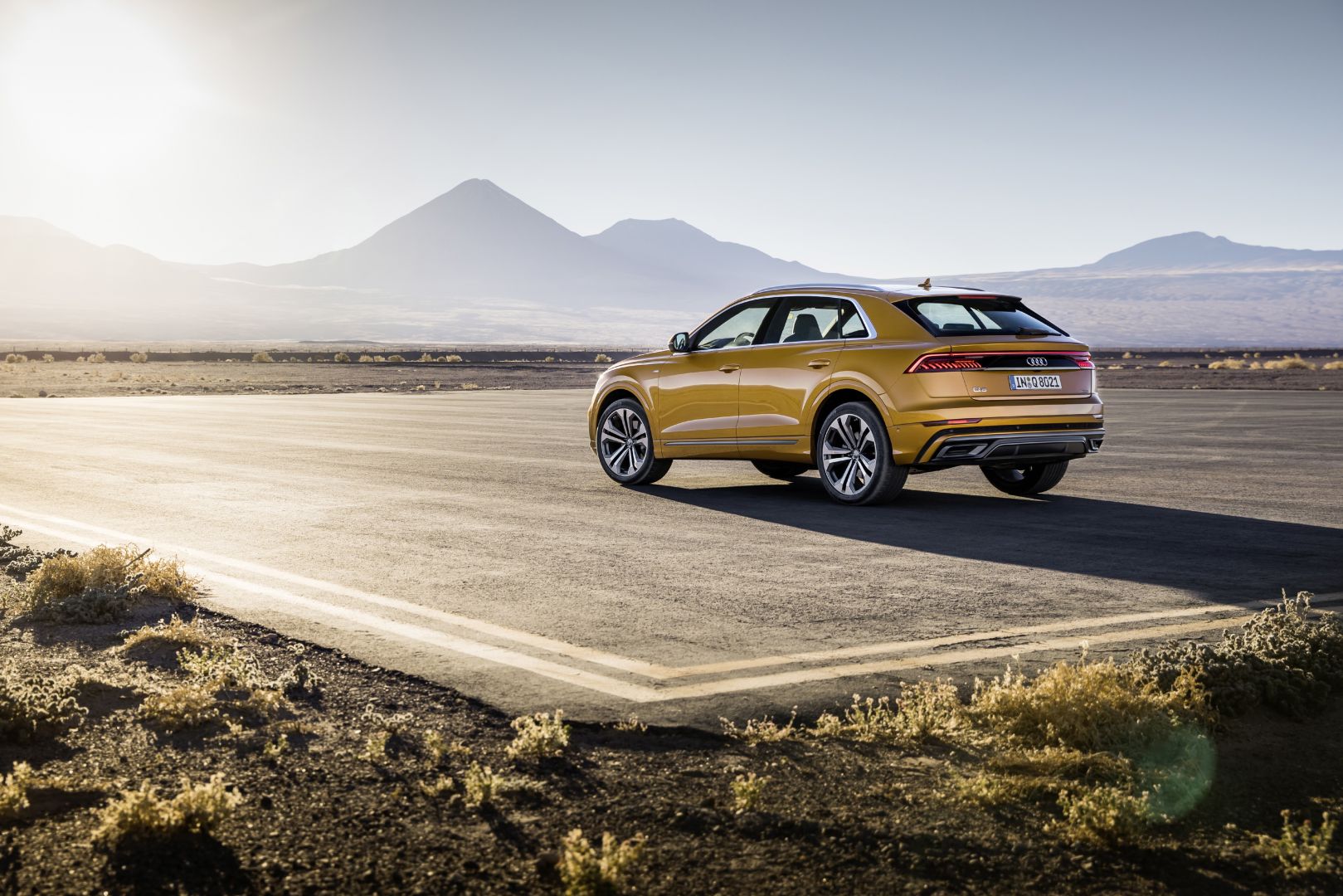 Audi Q8 photo 140