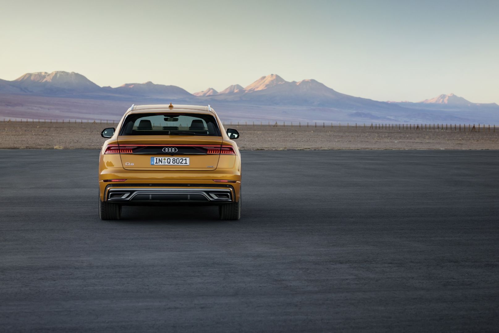 Audi Q8 photo 142