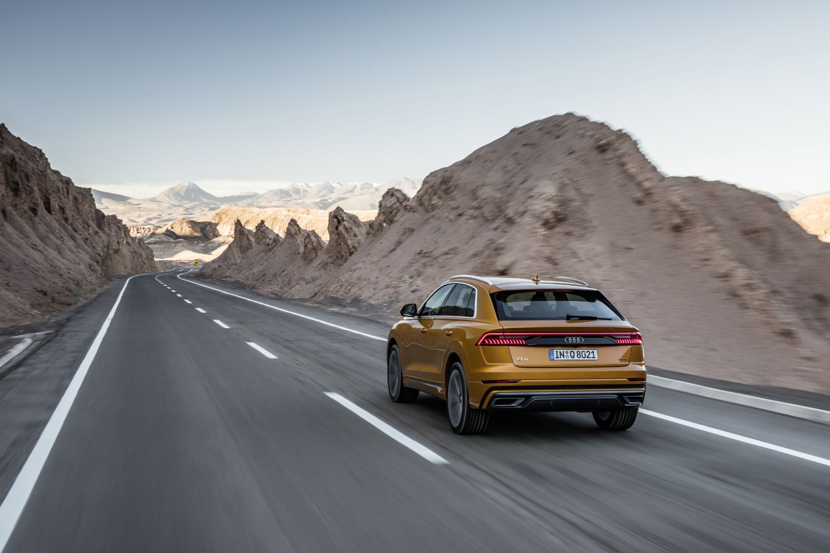 Audi Q8 photo 147