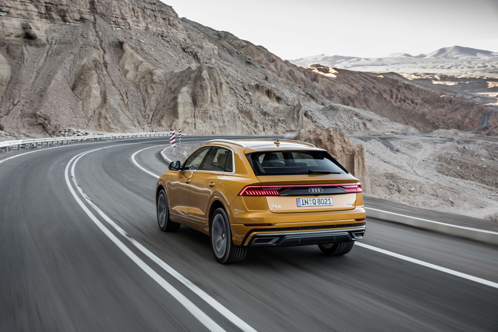 Audi Q8 photo 148