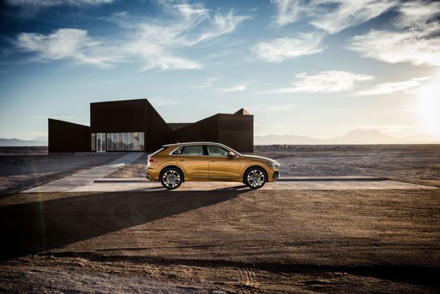 Audi Q8 photo 154