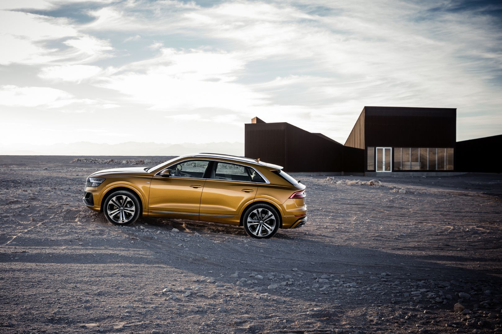 Audi Q8 photo 155