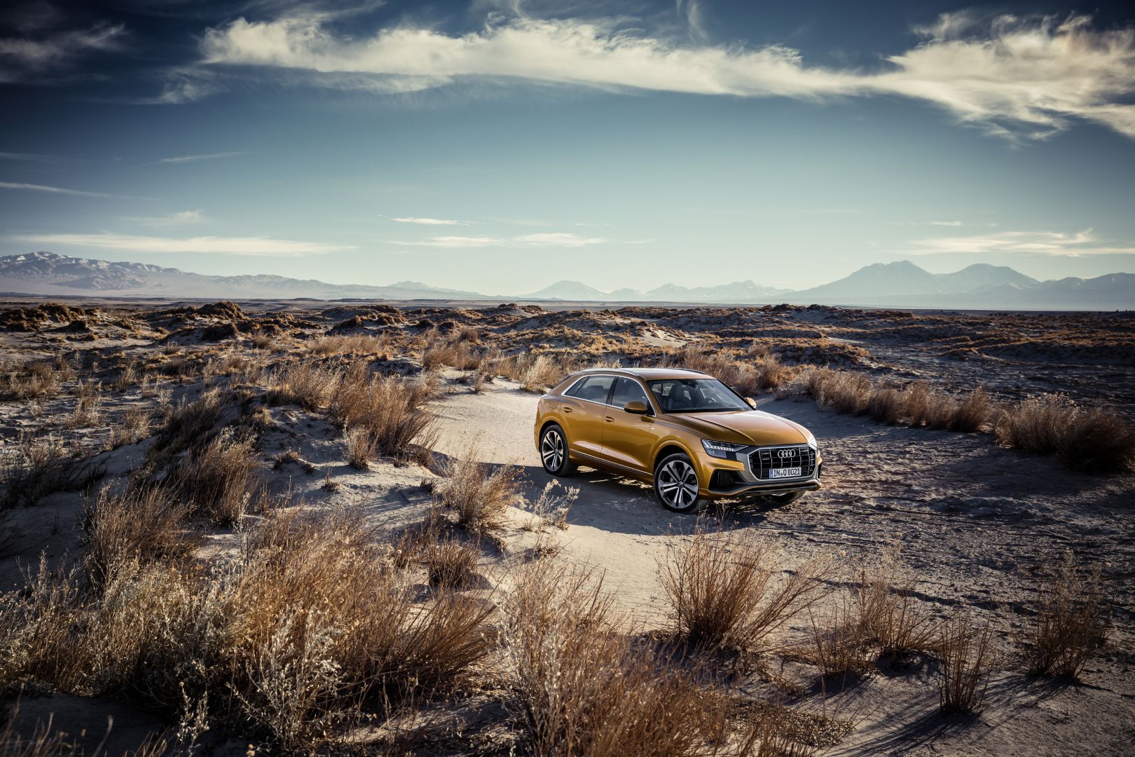 Audi Q8 photo 156