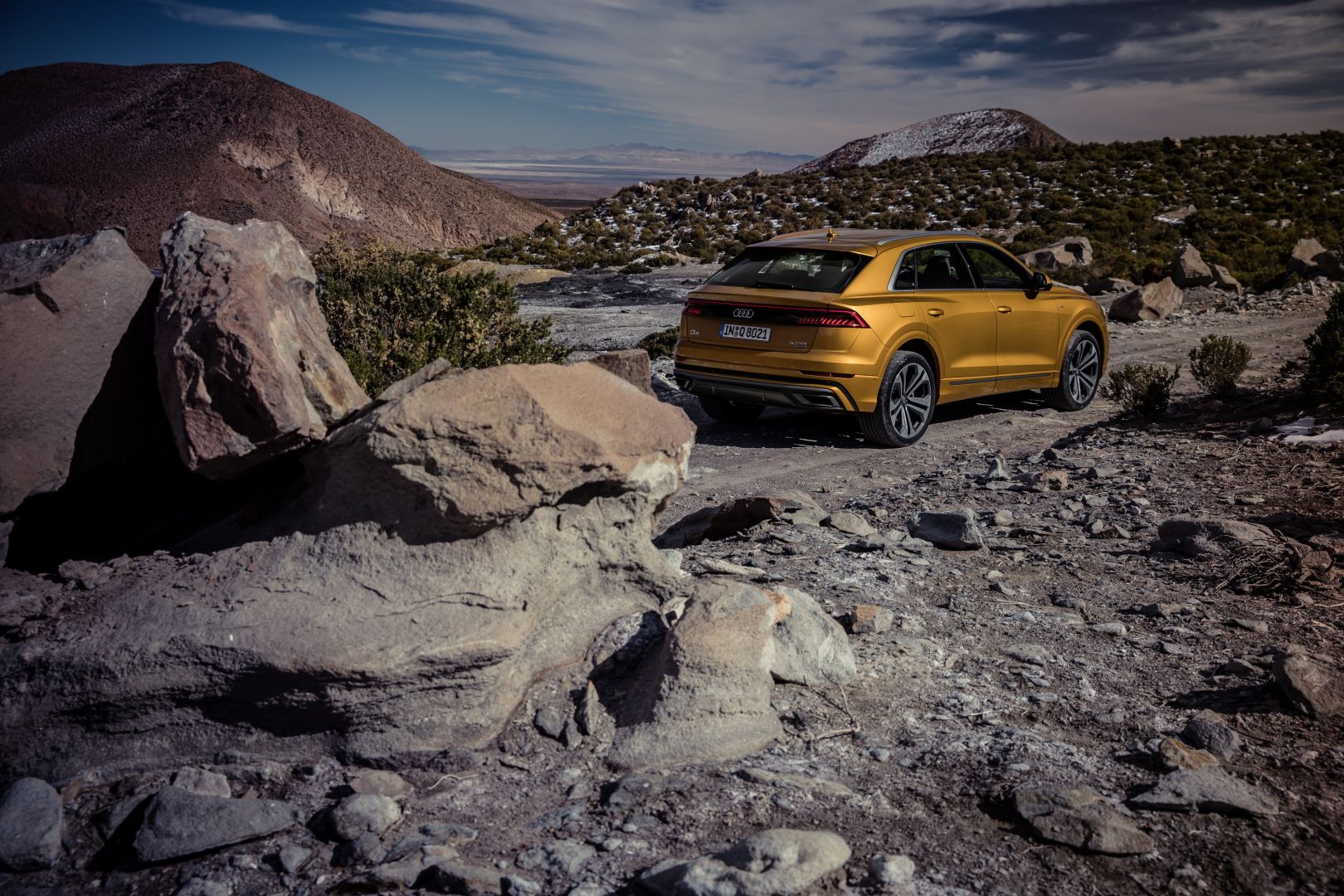 Audi Q8 photo 158
