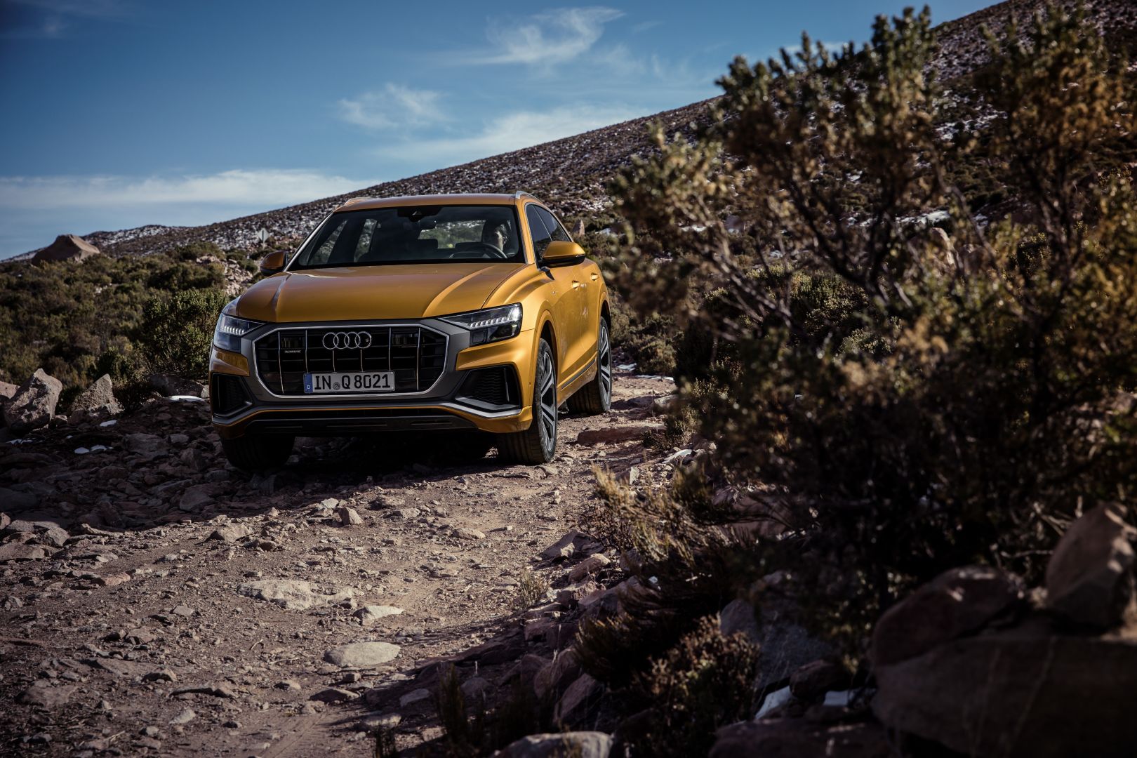 Audi Q8 photo 159