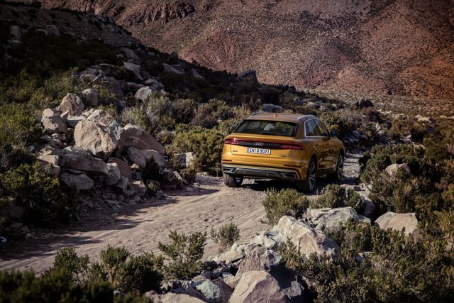 Audi Q8 photo 160
