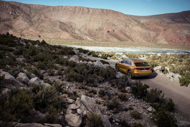 Audi Q8 photo 161