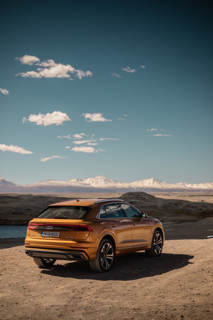 Audi Q8 photo 163