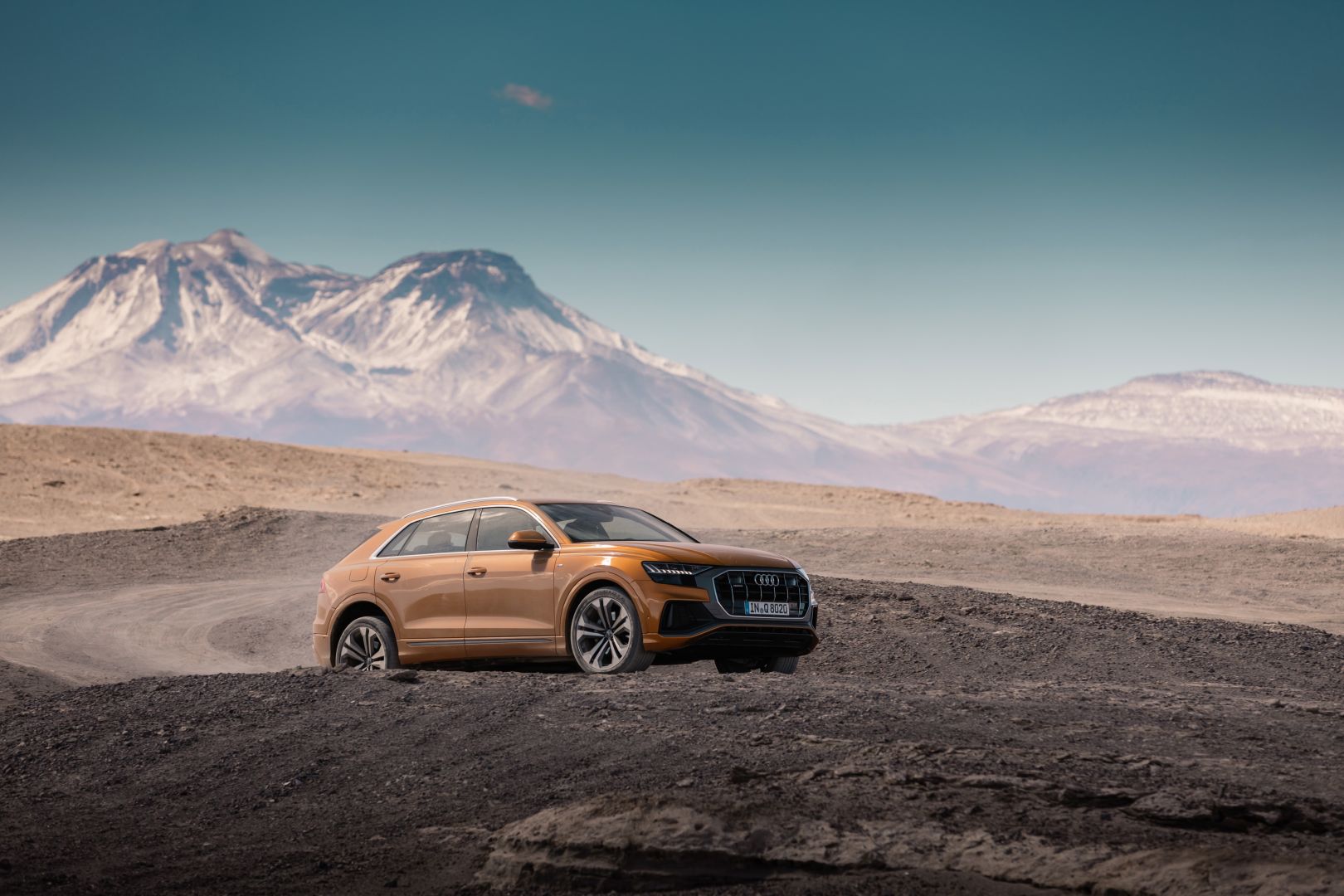 Audi Q8 photo 165