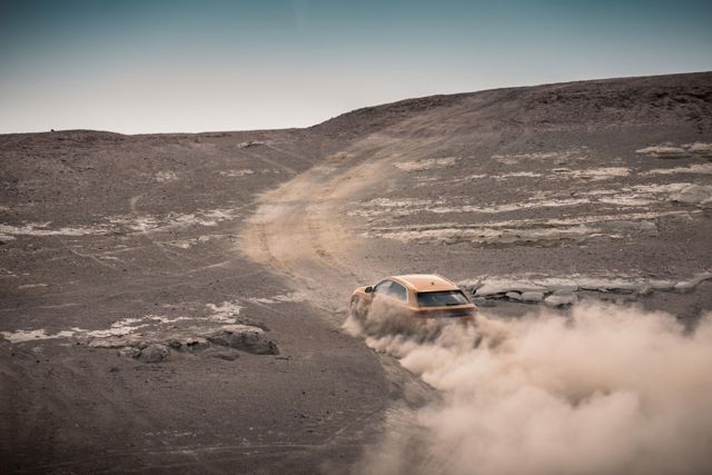 Audi Q8 photo 166