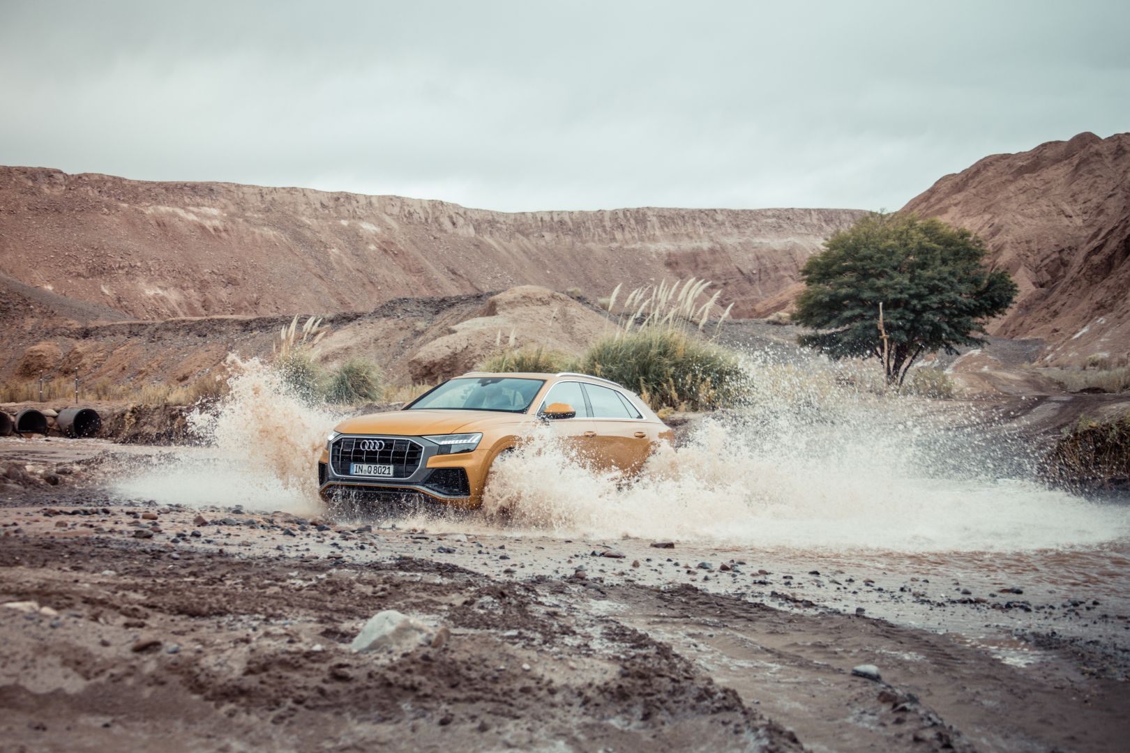 Audi Q8 photo 167