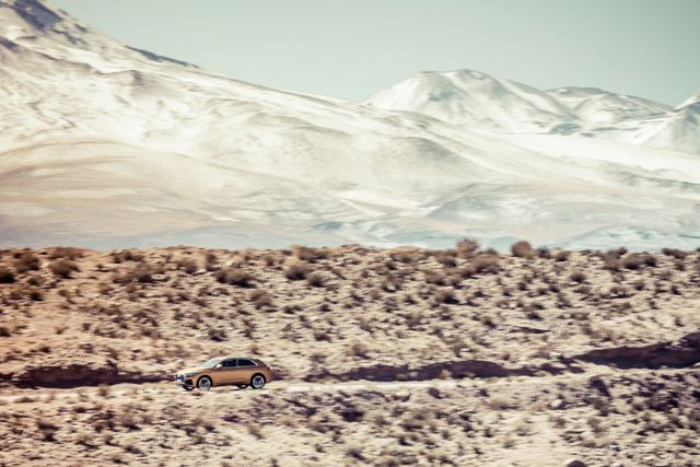 Audi Q8 photo 170