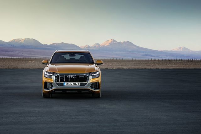 Audi Q8 photo 171