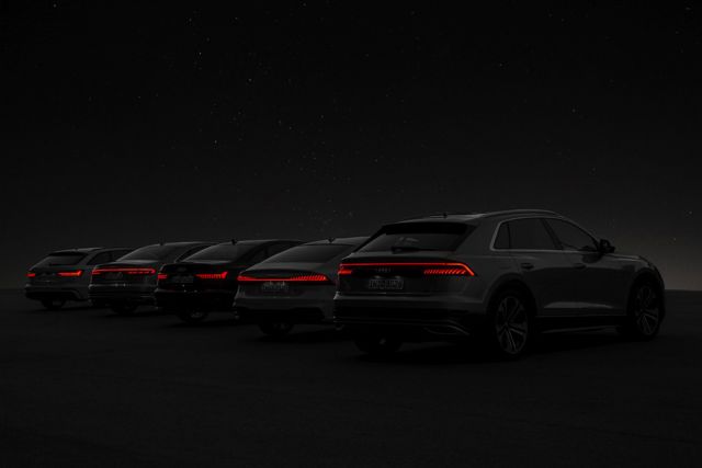 Audi Q8 photo 188