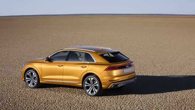 Audi Q8 photo 13