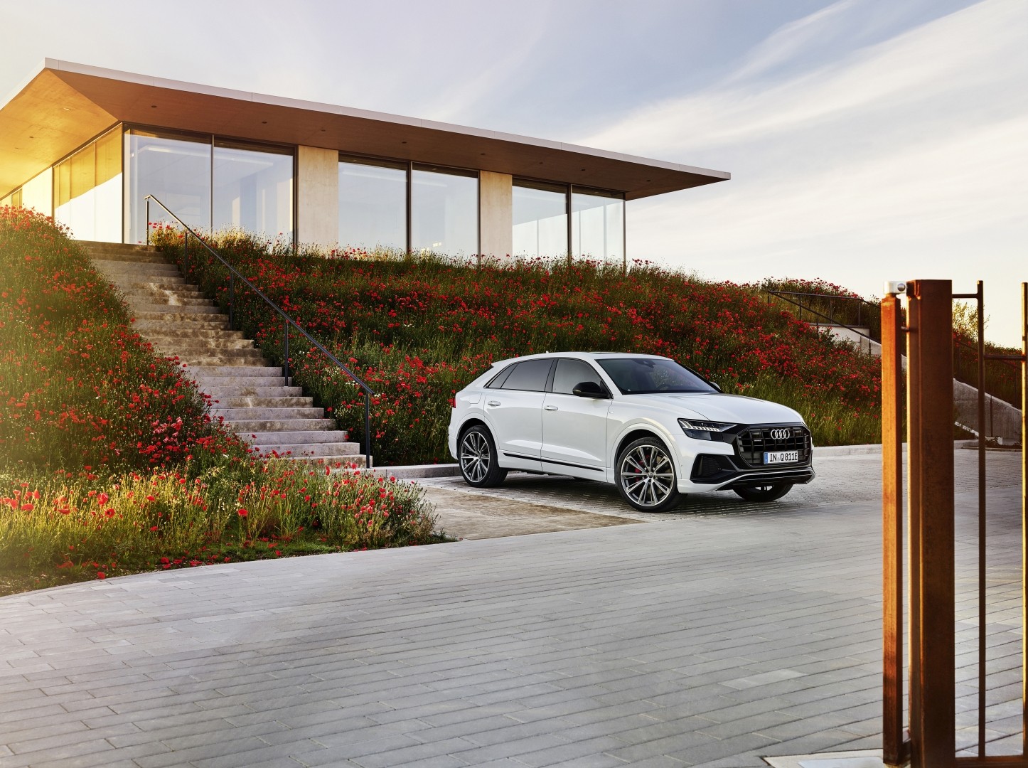 Audi Q8 photo 201