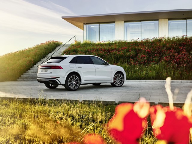 Audi Q8 photo 202