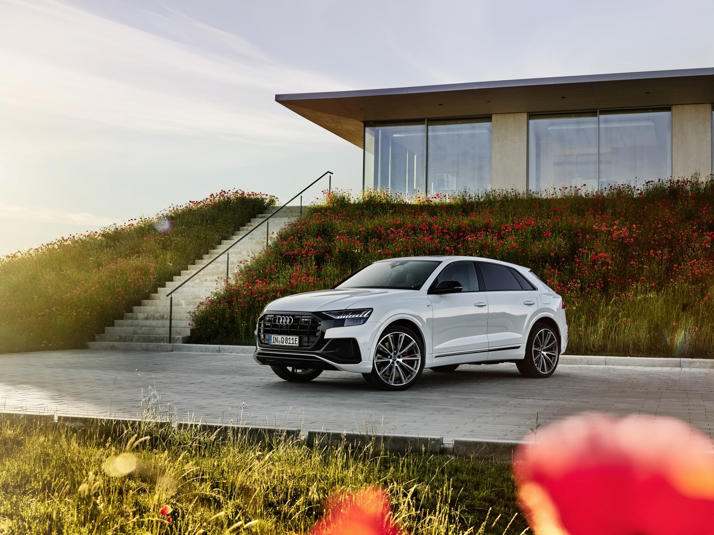 Audi Q8 photo 203