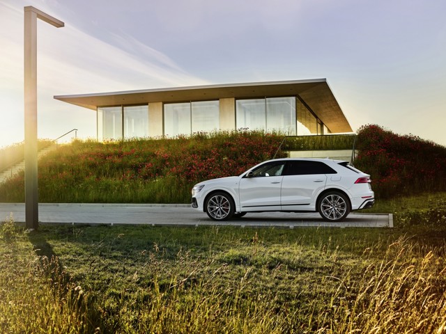 Audi Q8 photo 204