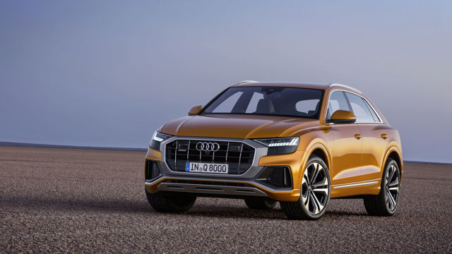 Audi Q8 photo 16