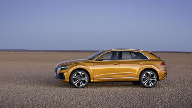 Audi Q8 photo 17