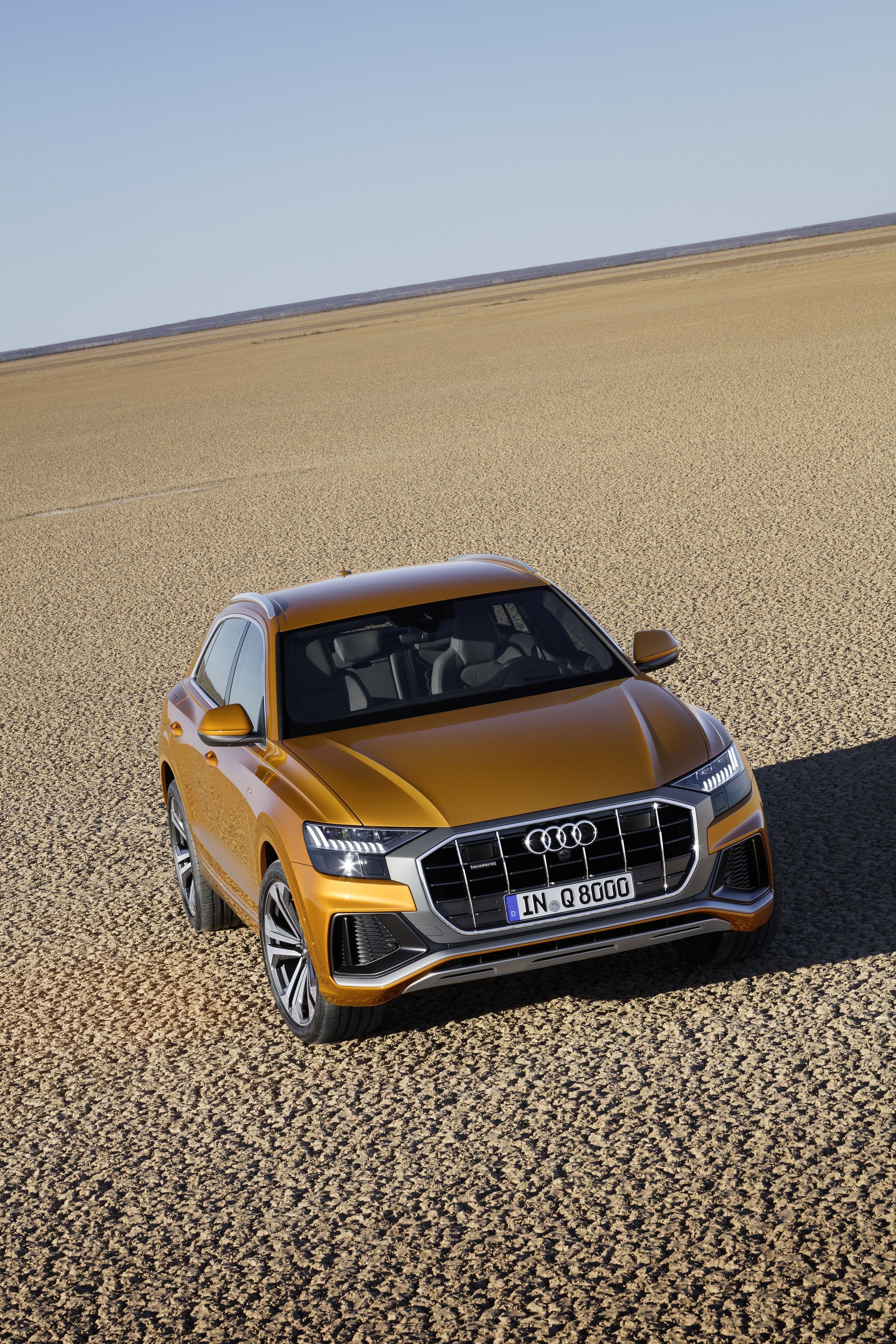 Audi Q8 photo 20