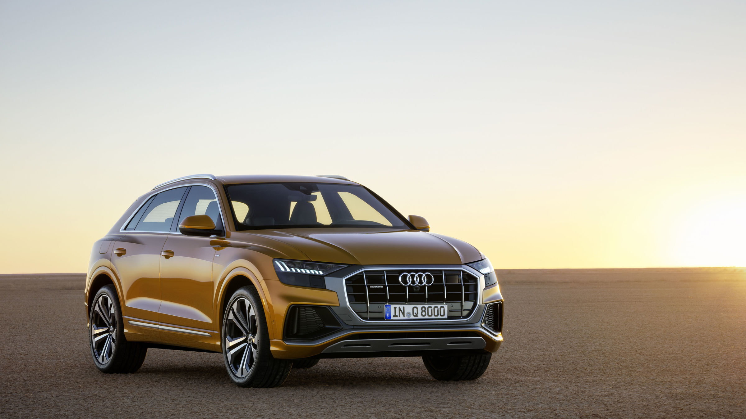 Audi Q8 photo 23