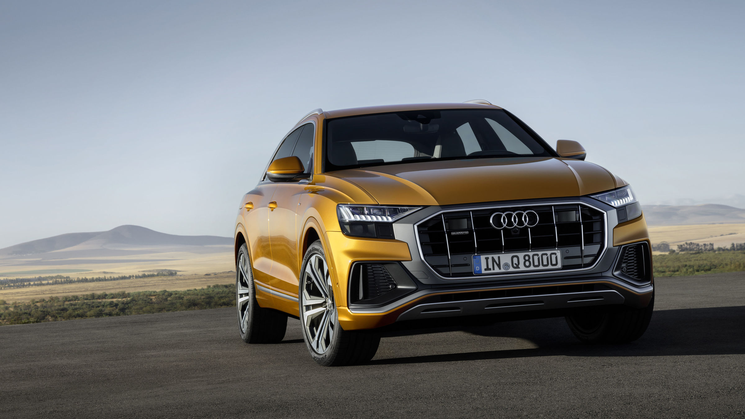 Audi Q8 photo 28