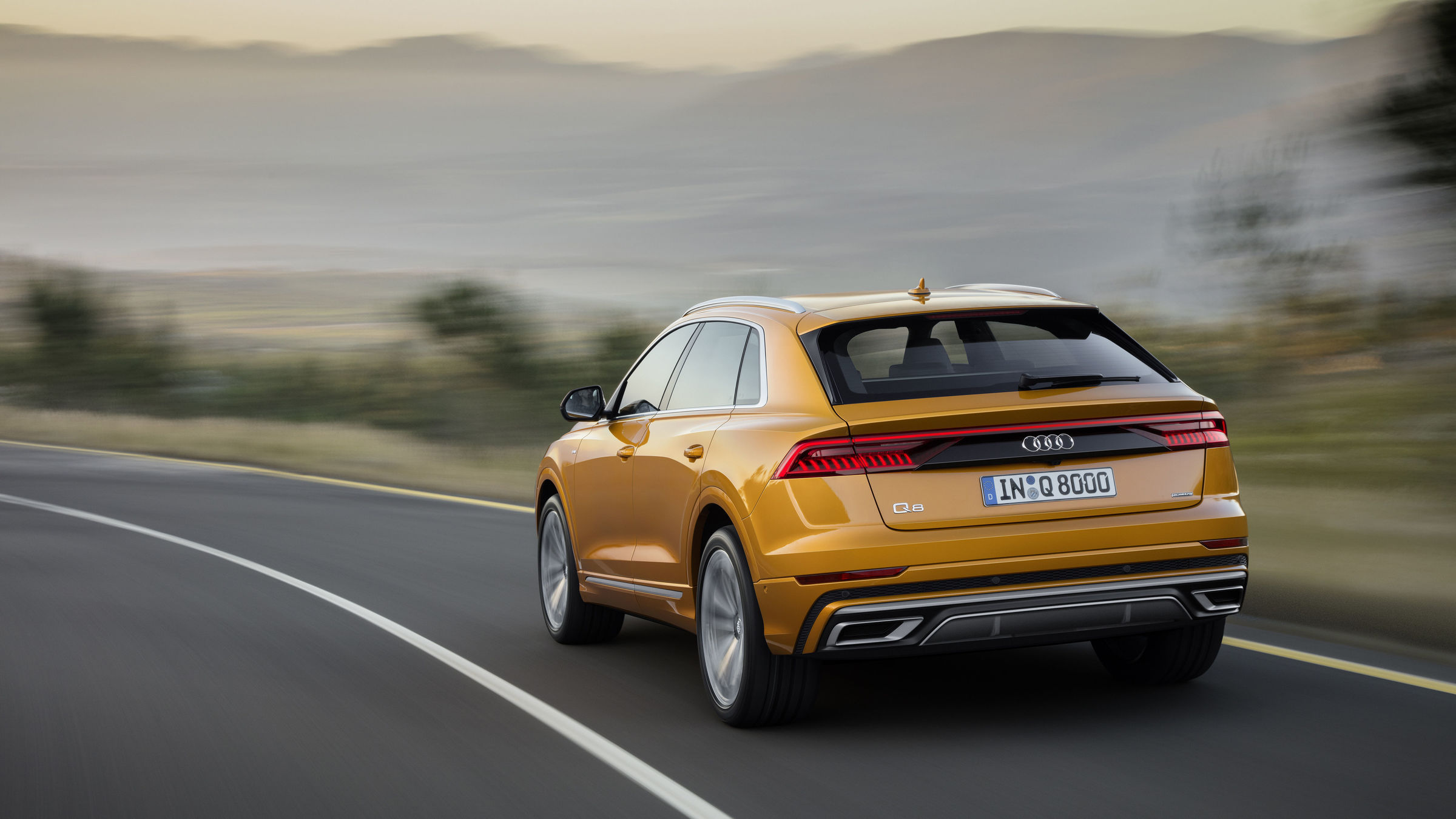 Audi Q8 photo 31