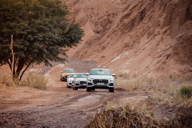 Audi Q8 photo 39