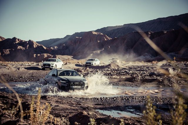 Audi Q8 photo 40