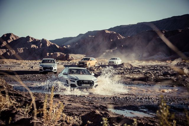 Audi Q8 photo 41